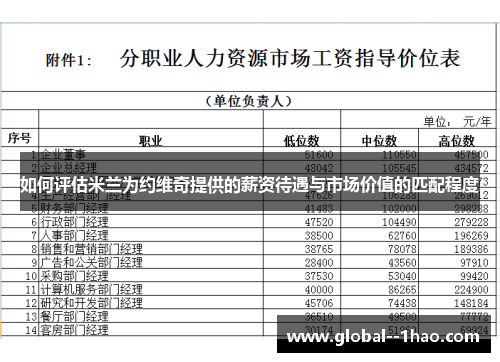 如何评估米兰为约维奇提供的薪资待遇与市场价值的匹配程度